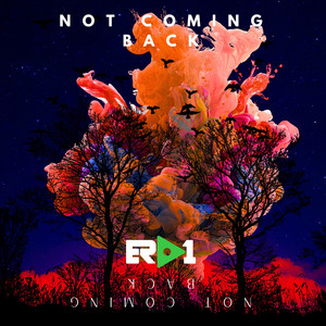 Not Coming Back by Erd1