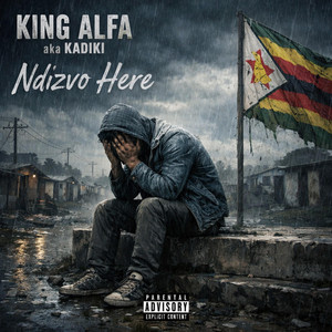 Ndizvo Here by King Alfa aka Kadiki