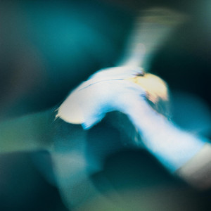 Fools & Strangers by Sad Sells