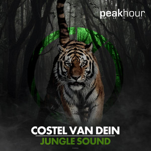 Jungle Sound