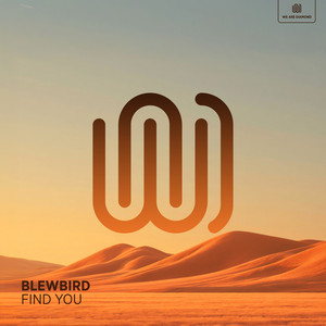 Find You by Blewbird