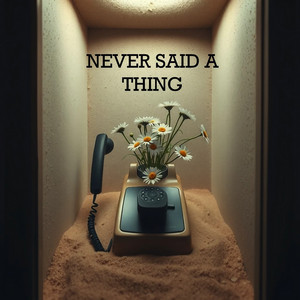 NEVER SAID A THING by AMAR LENGKA