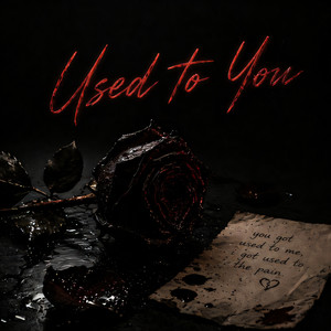 USED TO YOU by Dalton Carr