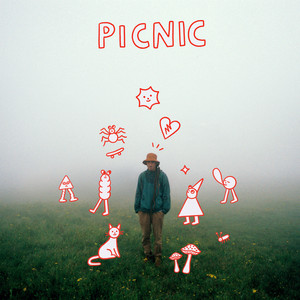 Picnic album