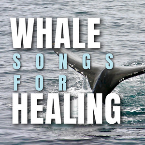 Whale songs for Healing album