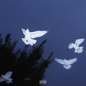 Frustration - Did It Again