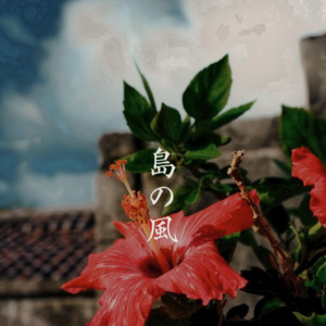 TOKIDA - Simanokaze