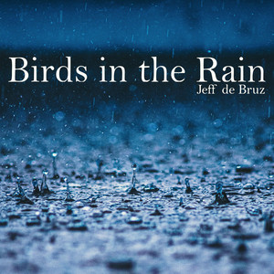 Birds in the Rain by Jeff de Bruz