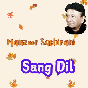 Manzoor Sakhirani Official - munjo yar munjo jani