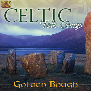 Portada de Ballyconnell Fair