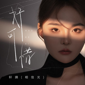 轩姨(相信光) - 好可惜 (DJ粤A版伴奏)