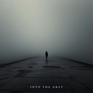 Into The Gray by The Books