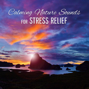 Calming Nature Sounds for Stress Relief – Soothing New Age Sounds, Music to Calm Down, Water Sounds, Singing Birds album