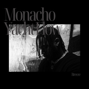 Monacho yacht flow by Breeze
