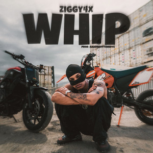 Ziggy4x - Whip