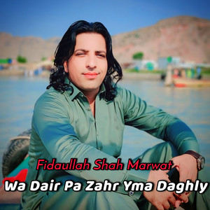 Fidaullah Shah Marwat - Wa Dair Pa Zahr Yma Daghly