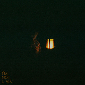 I'm Not Livin' by Fake Fireplace