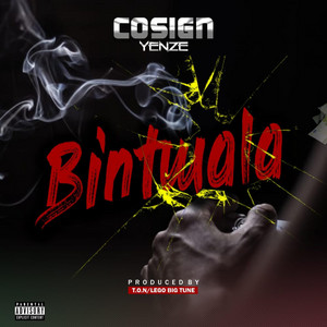 Cosign Yenze - Bintwala