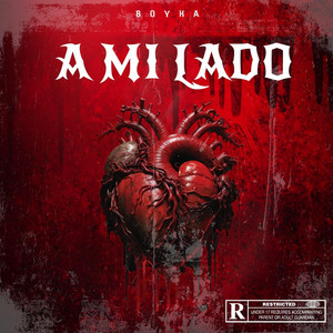 A MI LADO by BOYKA'