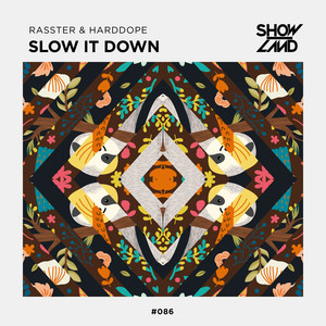Slow It Down by Rasster, Harddope
