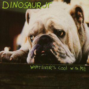 Not You Again by Dinosaur Jr.