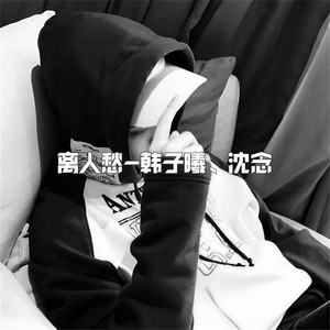 韩子曦 & DJ沈念 - 拥抱着你离去 (DJ版)