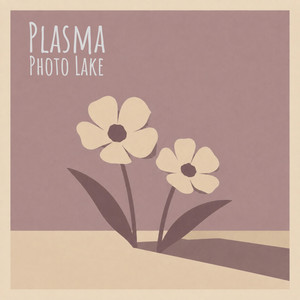 Plasma by Photo Lake
