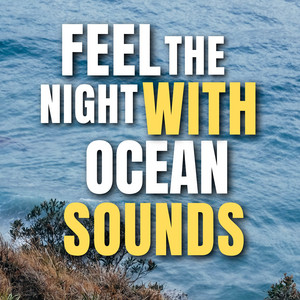 Feel the night with Ocean Sounds album