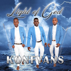 Log cover