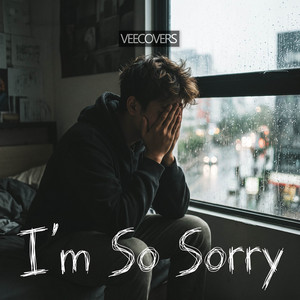 I'm So Sorry - English Version by VeeCovers