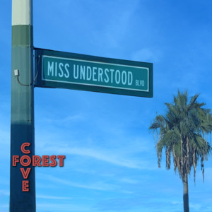 miss understood by forest cove