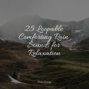 25 Loopable Comforting Rain Sounds for Relaxation album