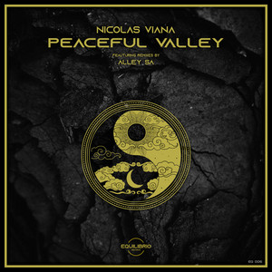 Peaceful Valley - Alley SA Remix by Nicolas Viana, Alley SA