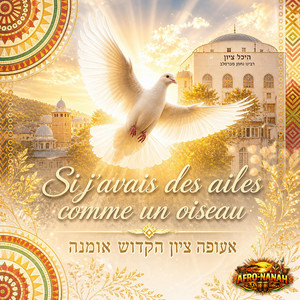 Des ailes comme un oiseau by Afronanah