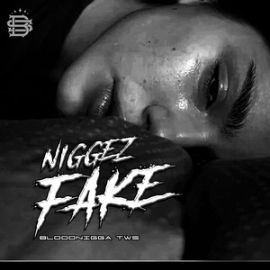 Niggez Fake by Bloodnigga twz