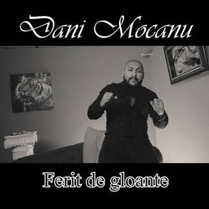 Dani Mocanu - Ferit de gloante