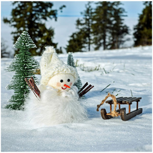 Portada de First Noel