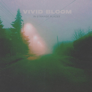 In Strange Places by Vivid Bloom