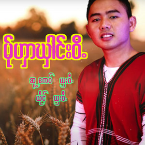 pm musicstudio - MER GA HAI WEE-SHA WEE