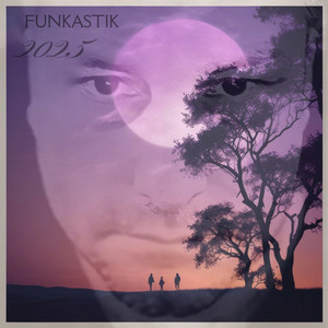 Funkastik - Life in the Rain