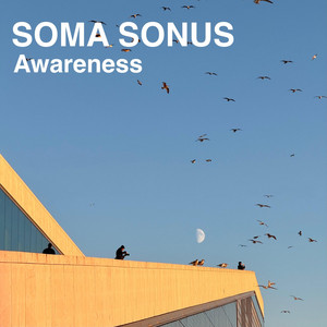 Awareness by SOMA SONUS