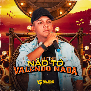 Não Tô Valendo Nada