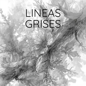 Lineas grises by Fretel Flow