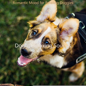 Romantic Mood for Relaxing Doggies album