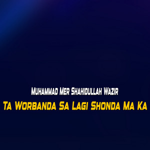 Muhammad Mer Shahidullah Wazir - Wolar Paradaran De Pe Janan Kaga Waga