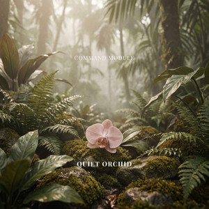 Quiet Orchid by Command Module