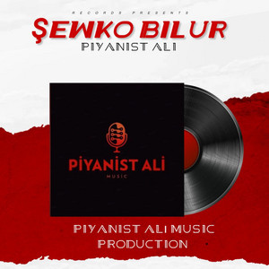 PİYANİST ALİ - ŞEWKO BİLUR