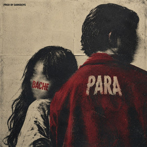 Bache by PARA