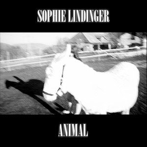 Animal by Sophie Lindinger