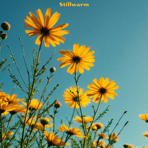 Paper Stars (youtube mix) by Stillwarm